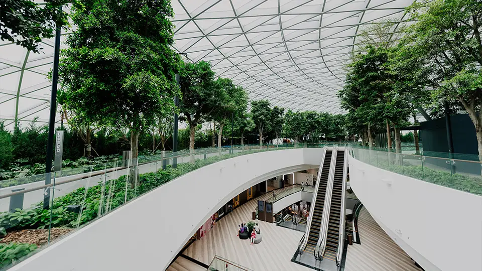 Rinalty: A blend of retail and wellness